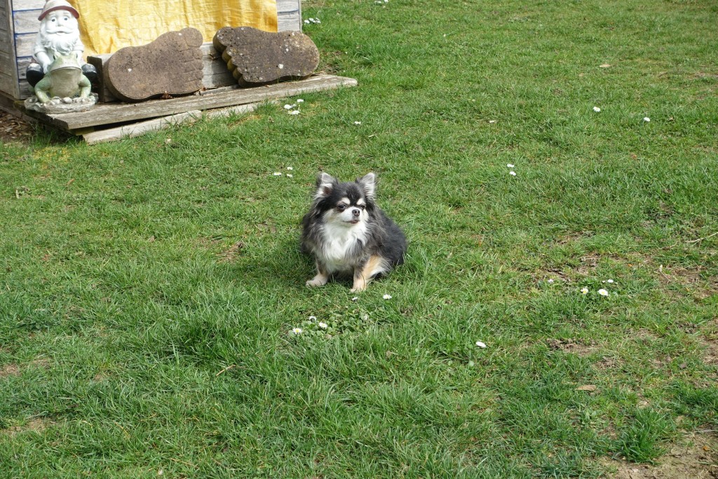 DSC00321